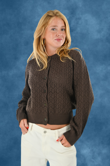 Alison cardigan - bruin