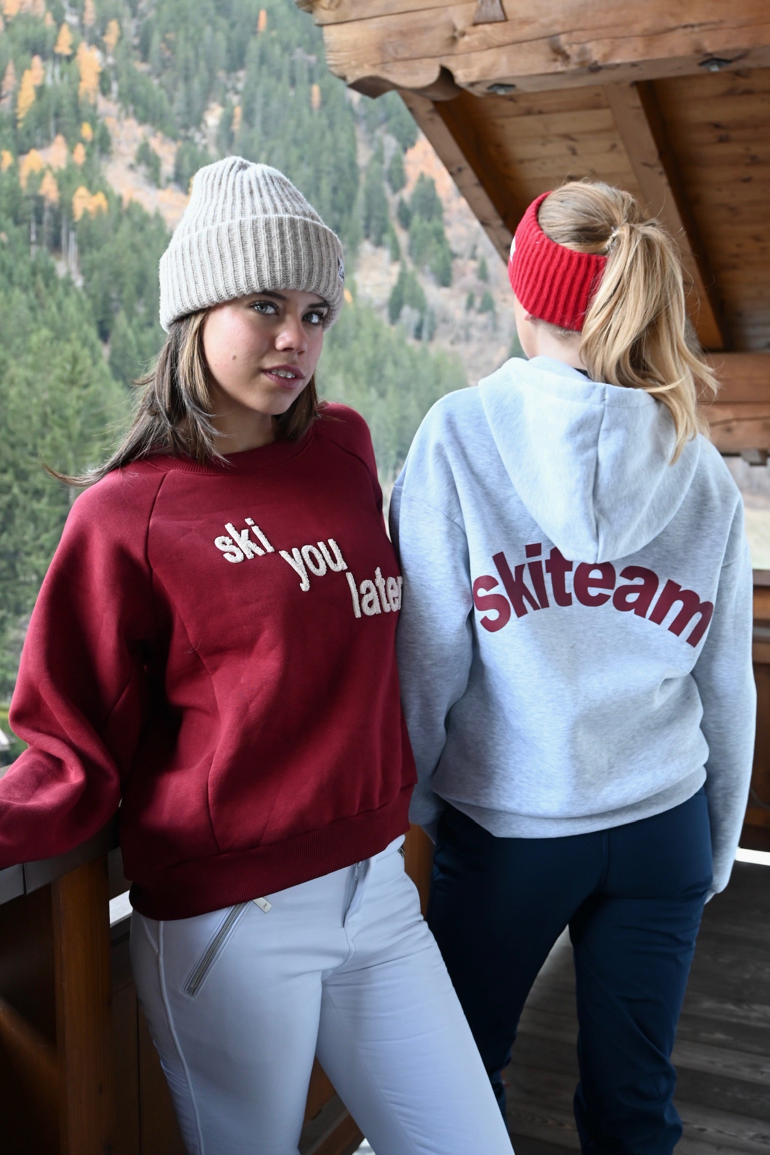 Skiteam-hoodie-grey-fashiontiger-3