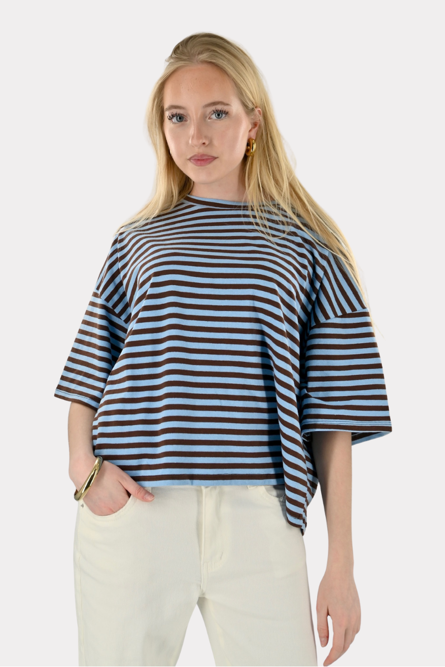 Daily striped shirt - bruin/blauw - Fashiontiger 1