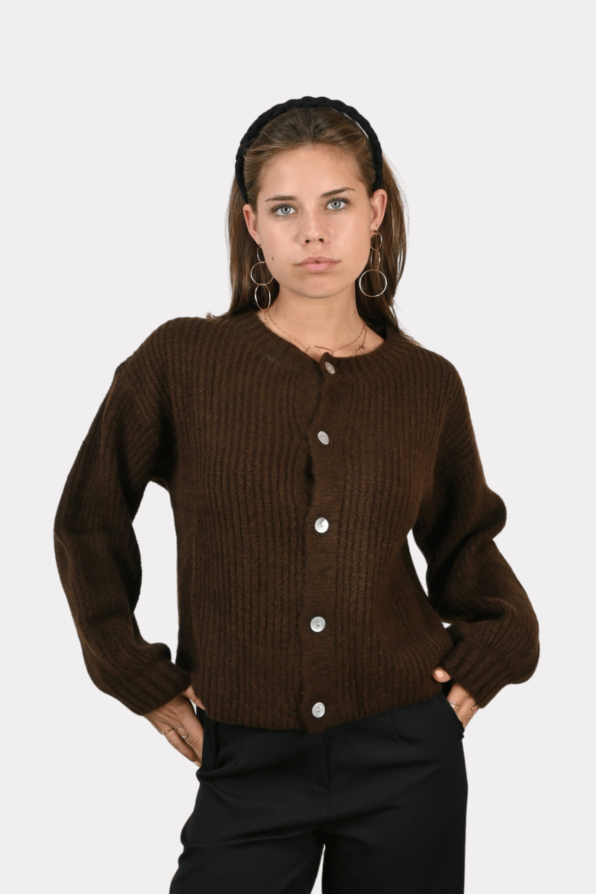 Brooklyn cardigan - bruin