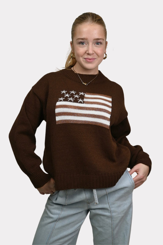 USA-sweater-glitter-brown-fashiontiger-1