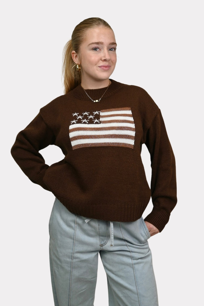 USA-sweater-glitter-brown-fashiontiger-3