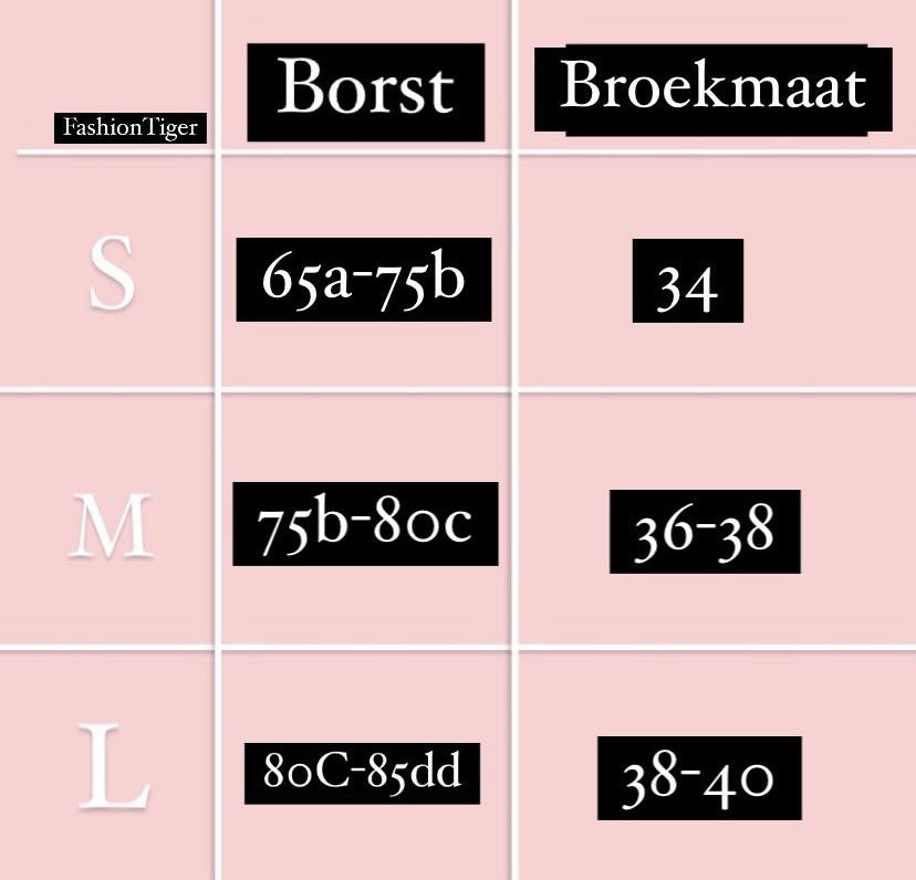 Bikini Ibiza Argenté